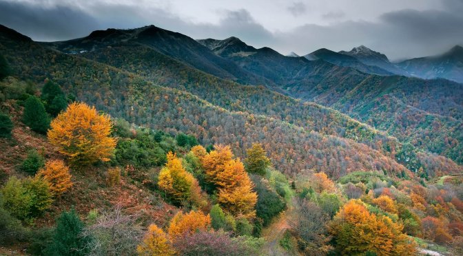 RUTA POR EL MONTE VALGRANDE